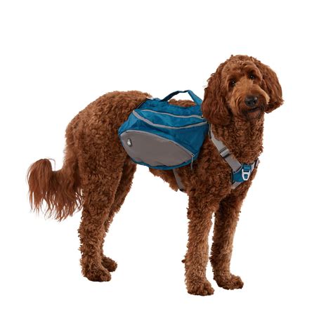 Arcadia Trail Harness: The Ultimate Guide for Dog Owners