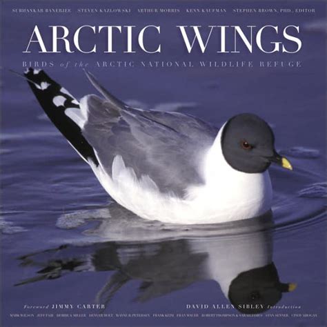 Arctic Wings Birds of the Arctic National Wildlife Refuge Doc