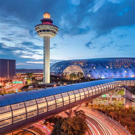 Are Dogs Allowed in Changi Airport 2025: Rules & Regulations