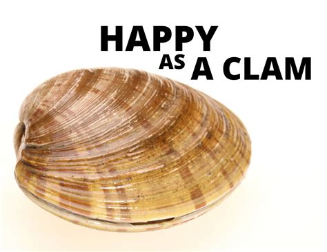 Are You Happy As A Clam?