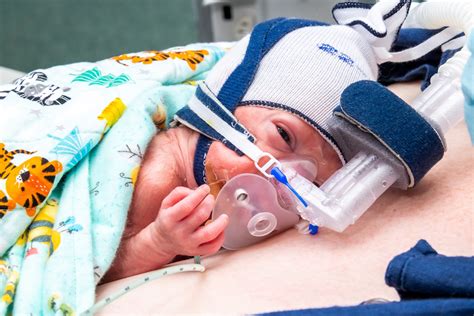 Aria Nina: A Comprehensive Guide to Respiratory Support for Infants and Premature Babies