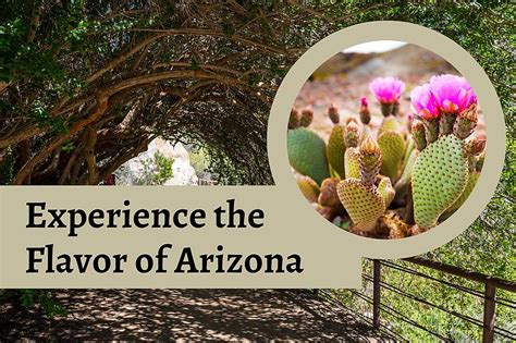 Arizona Flavors: A Taste of the Desert Southwest