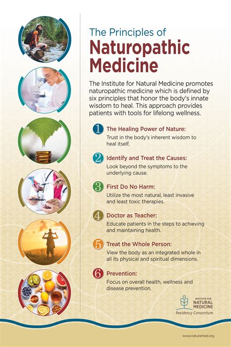 Arizona Naturopathic School: A Holistic Approach to Healthcare