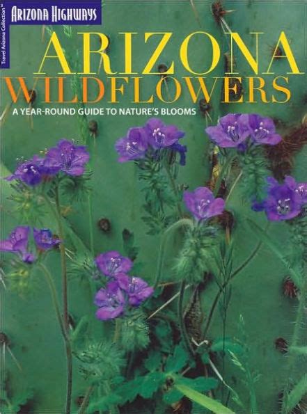 Arizona Wildflowers: A Year-Round Guide to Nature's PDF