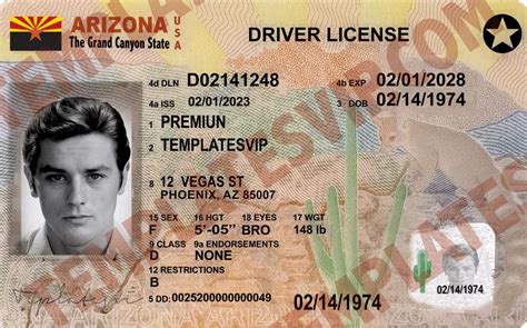 Arizona drivers license template Ebook Reader