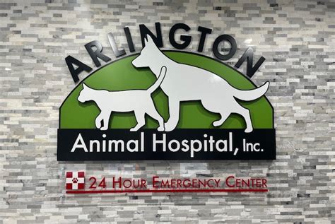 Arlington Animal Services: Compassion and Care for Arlington's Pets