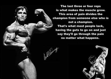 Arnold Schwarzenegger Bodybuilding Poster: A Symbol of Fitness & Motivation