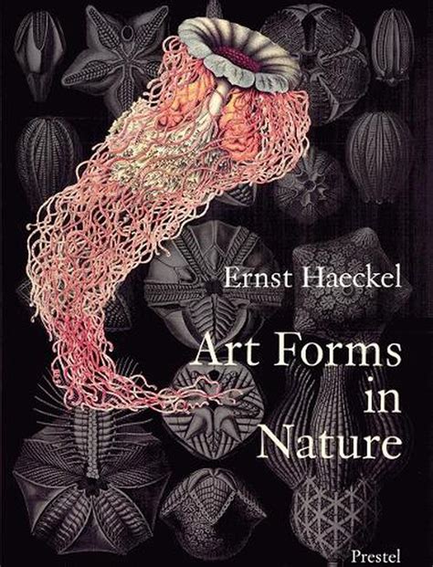 Art Forms in Nature The Prints of Ernst HaeckelÂ Â  ART FORMS IN NATURE Paperback PDF