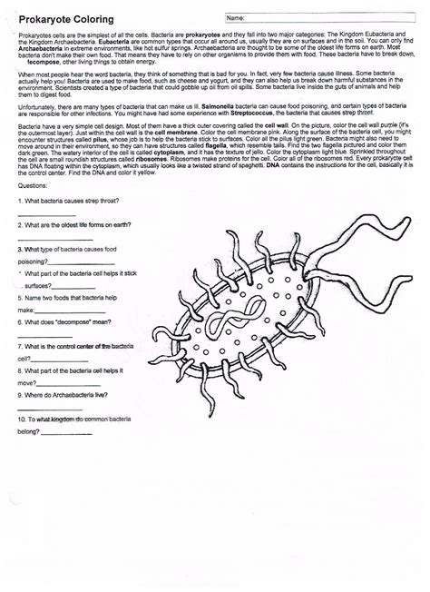 Arthropod Coloring Answer Key Biology Junction PDF