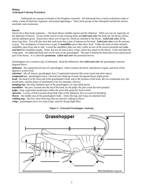 Arthropod Dissection Answer Sheet Epub