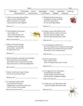 Arthropod Poetry Answers PDF