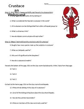 Arthropod Webquest Answers PDF