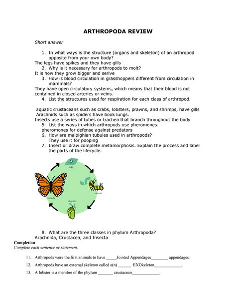 Arthropoda Review Answers Reader