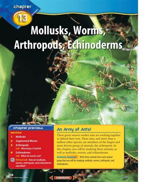 Arthropods And Echinoderms Answers Pearson PDF