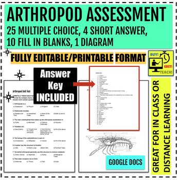 Arthropods Answer Key Reader