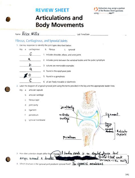 Articulations And Body Movements Review Sheet Answers Kindle Editon