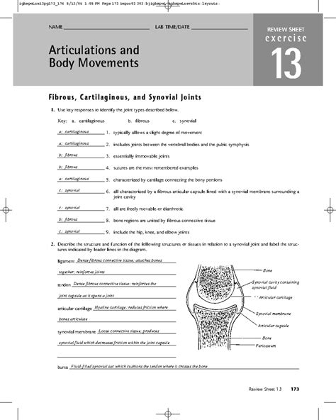 Articulations And Body Movements Test Ebook Doc