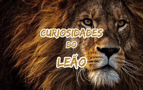 Artigo Completo: Tudo o Que Você Precisa Saber sobre o Leao Bet 77