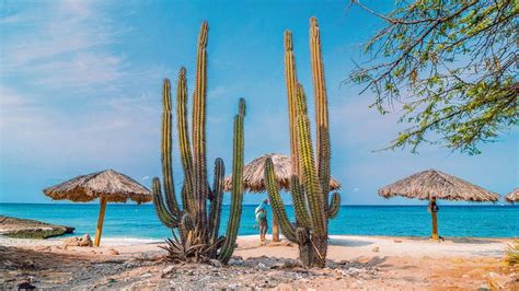 Aruba: Un paraíso turístico y un centro financiero en el Caribe