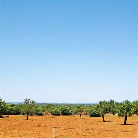 As Aposta Petrolina: Transformando o Sertão em um Polo de Energia e Desenvolvimento