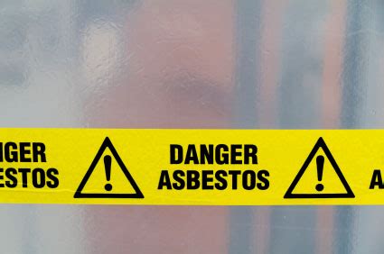 Asbestos Litigation Epub