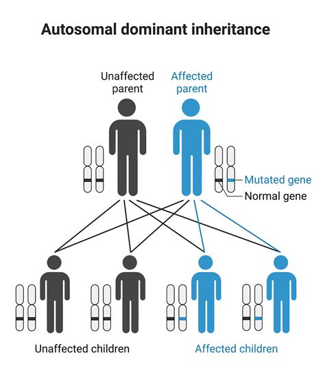 Ascendance to Dominance