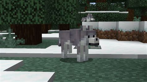 Ashen Wolf Minecraft: The Ultimate Guide for 2023