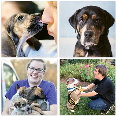 Asheville Humane Society: A Haven for Rescued Animals