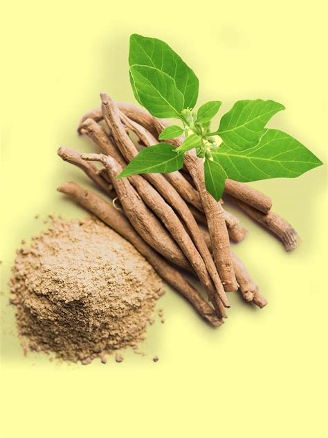 Ashwagandha: