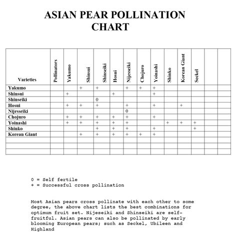 Asian Pear Pollination Chart
