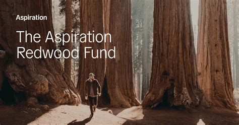 Aspiration Redwood Fund: Transforming Finance for a Sustainable Future