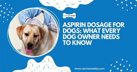 Aspirin Dosage Chart for Dogs: 5 Things Every Dog Owner Must Know