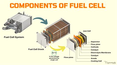 Assemble fuel cell components: