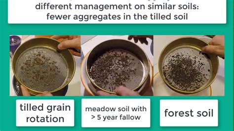 Assess soil strength: