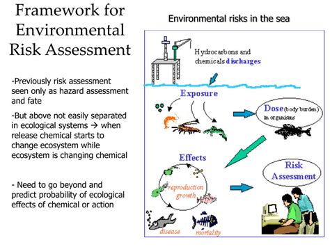 Assessing and mitigating environmental risks: