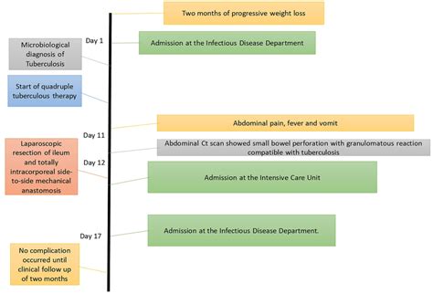 Assessment Timeline and Procedures