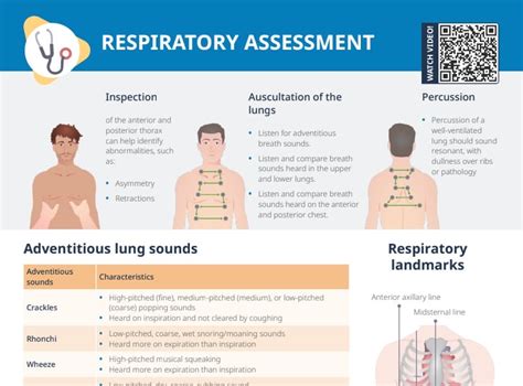 Assessment of Respiratory Function: