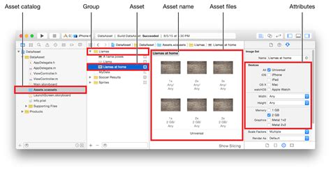 Asset Catalog Not Open Asset File Vs