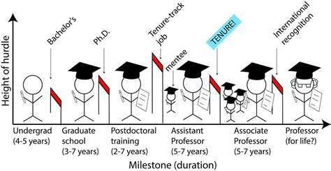 Assistant Professors: