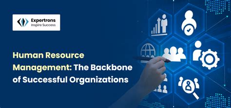 Associates in Management Jobs: The Backbone of Modern Organizations