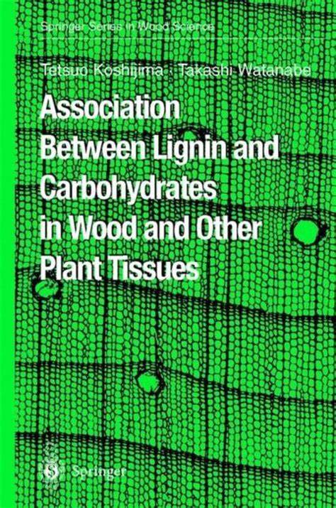 Association between Lignin and Carbohydrates in Wood and Other Plant Tissues 1st Edition Epub