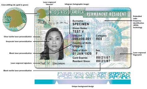 Asylum to Green Card: A Comprehensive Guide to Permanent Residency