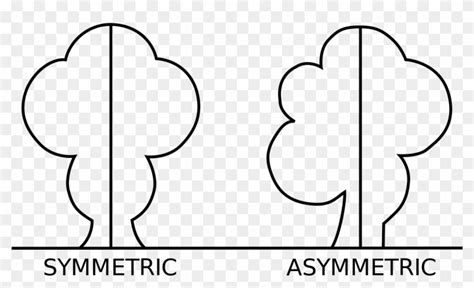 Asymmetrical Lines and Shapes