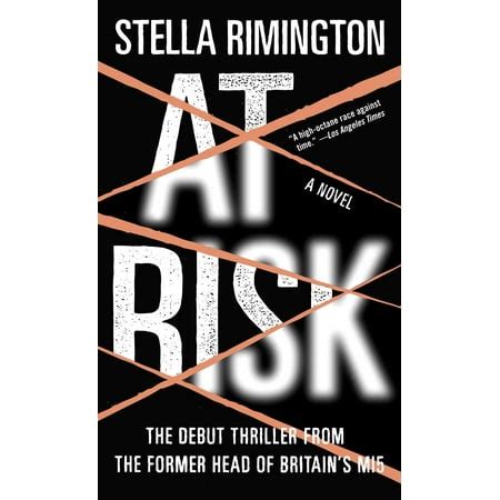 At Risk: A Novel Epub