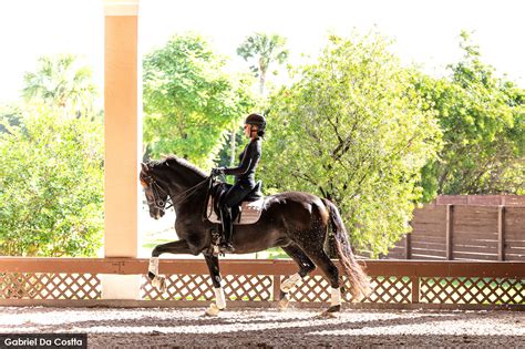 Athena Palomino's Instagram: A Visual Journey into Equestrian Excellence