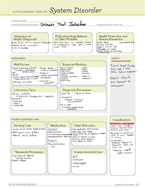 Ati Concept Map Template