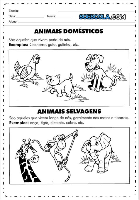 Atividade Sobre Animais: Entenda os Tipos, Características e Importância