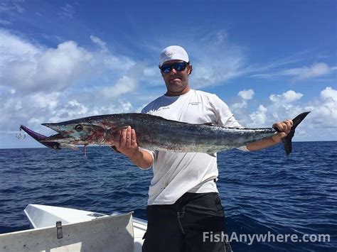 Atlantic Ocean Fishing