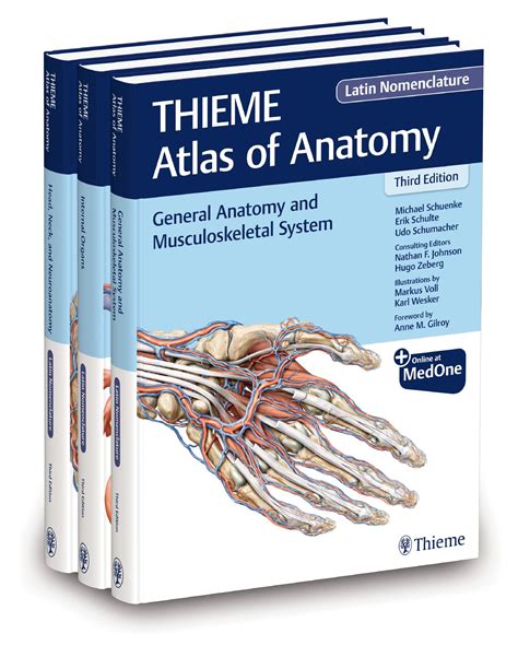 Atlas of Anatomy Latin Nomenclature version Thieme Anatomy Kindle Editon