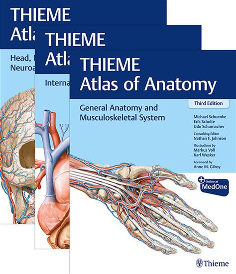Atlas of Anatomy Thieme Anatomy Doc